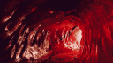 Womb