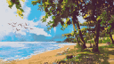 Island